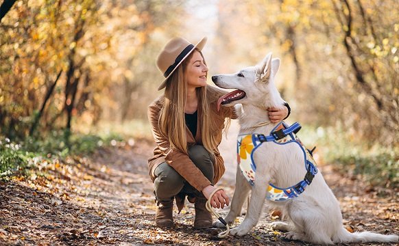 How Custom Dog Harnesses with Names Can Benefit Your Pup