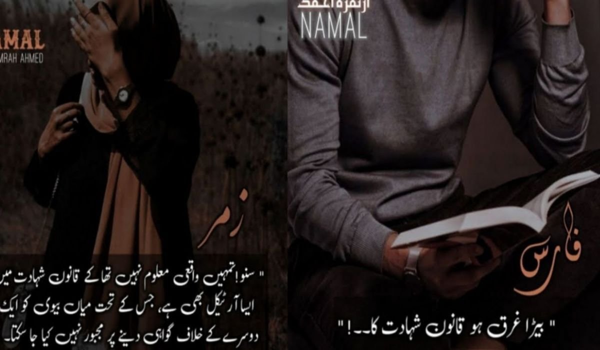 Complete Urdu Namal Novel